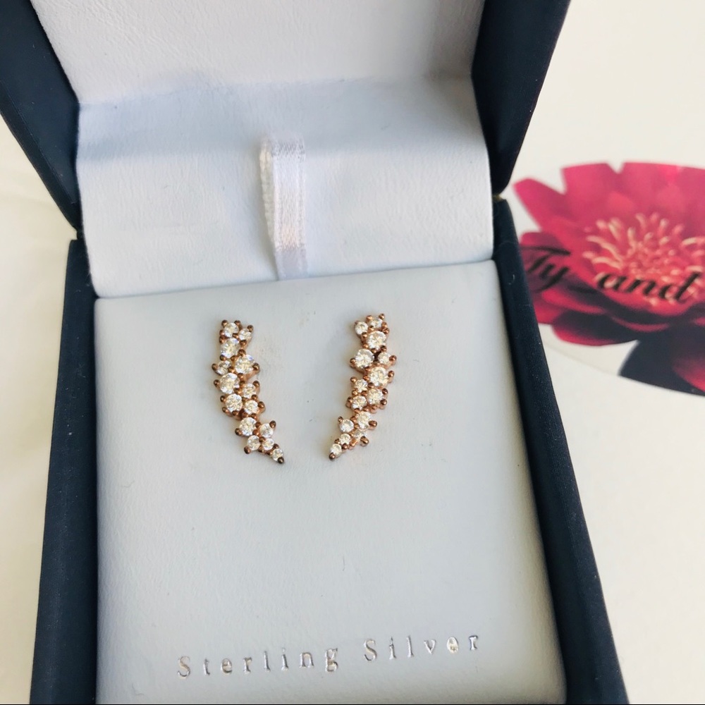 Sterling sliver earrings Contessa di Capri